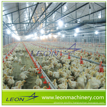 Leon series highly customized feeding line for poultry and livestock